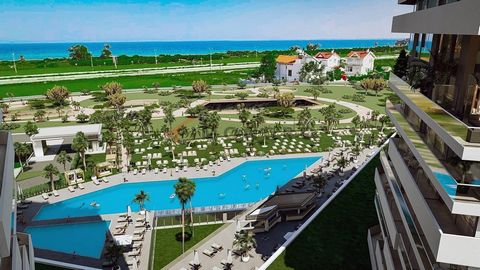 The apartment for sale is located in Yeni İskele, also known as Trikomo, a town on the southeastern coast of Northern Cyprus. Yeni İskele lies along the main road leading to the Karpas Peninsula and near the picturesque harbor town of Boğaz. The town...