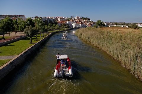 Este magnífico apartamento de 2 dormitorios está situado en el hermoso complejo Quinta Pedra dos Bicos, en la zona de Santa Eulália, y ofrece la ubicación perfecta para unas vacaciones relajantes en familia. Con capacidad para 6 personas, el apartame...