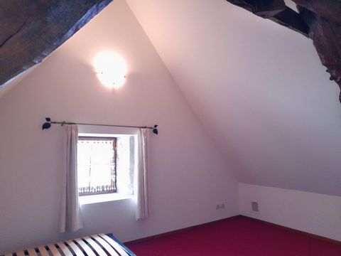 photo no. 11