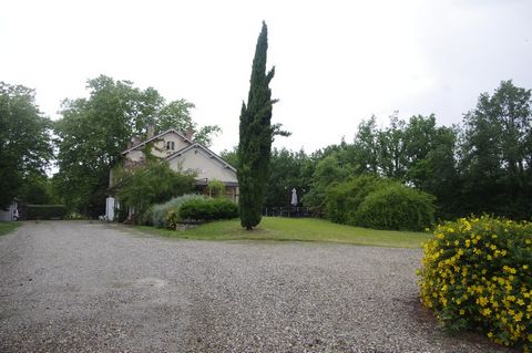 photo no. 2