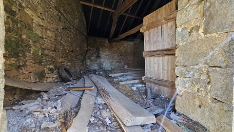 photo no. 15