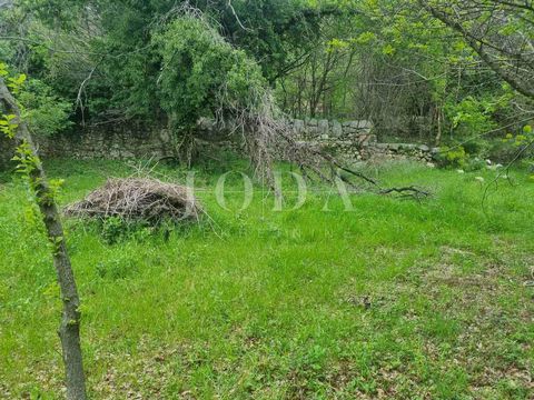 Location: Primorsko-goranska županija, Vinodolska Općina, Bribir. ID CODE: 4785 Marina Mudrovčić Agent s licencom Mob: 0915787803 Tel: 051403771 E-mail: marina@joda-nekretnine.hr www.joda-nekretnine.hr