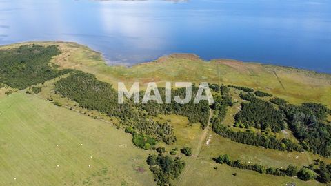 Woningen met uitzonderlijk mooie kustlijn en bouwrechten op het eiland Saaremaa, Estland. Dit is een paradijs voor natuurliefhebbers; geschikt voor vogels kijken, jagen, vissen, zeilen, paddenstoelen en bessen plukken.https://xgis.maaamet.ee/ky/71401...