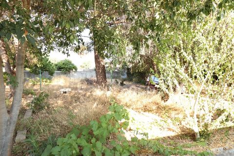 photo no. 2